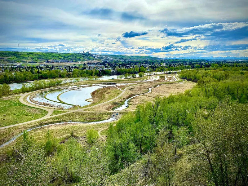 Bowmont Park Natural Environment Park