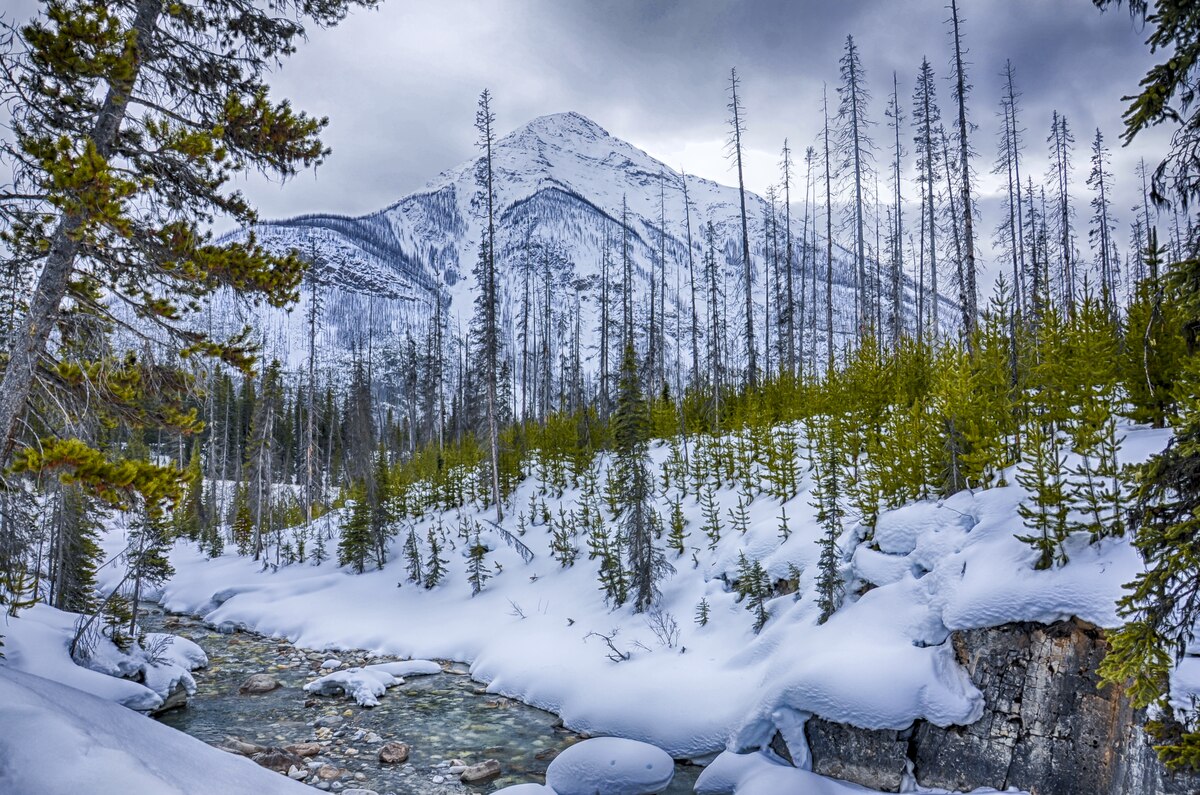 Kootenay National Park British Columbia