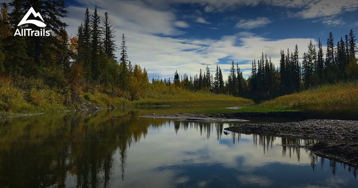Discover Weaselhead Flats & Glenmore Reservoir