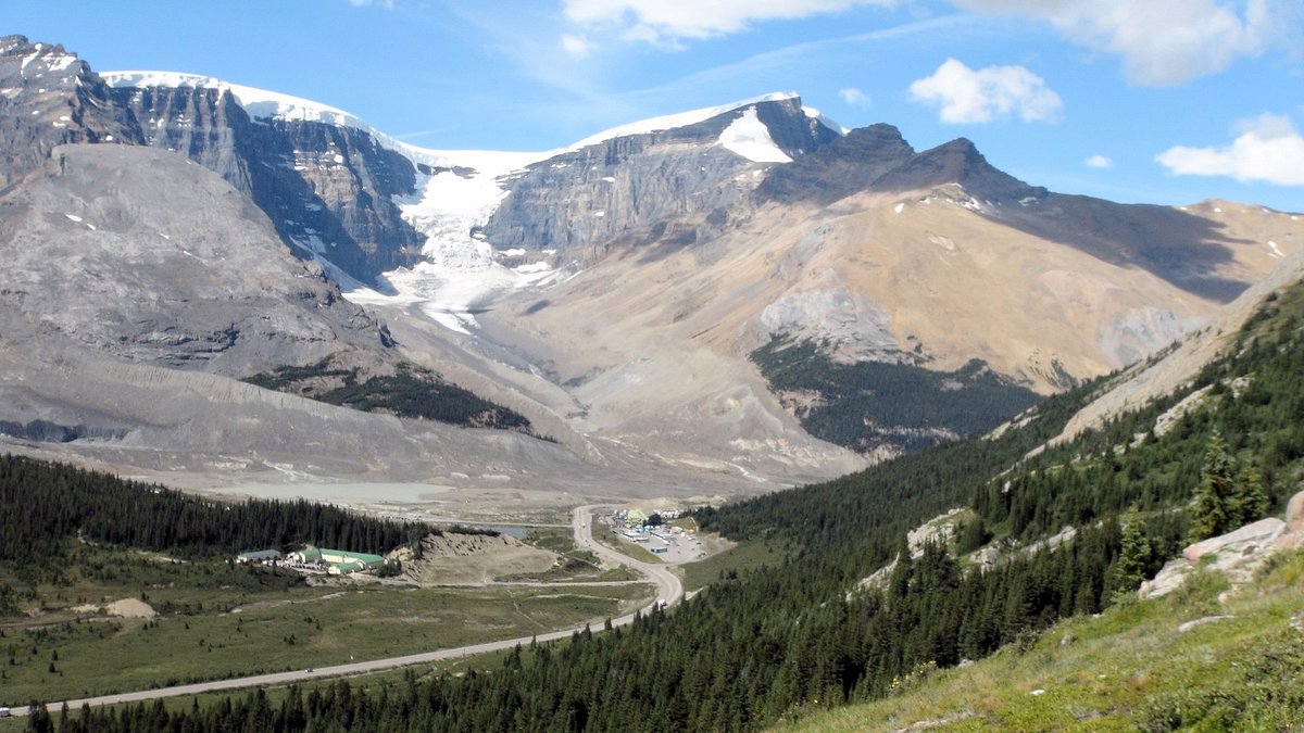 Wilcox Pass Hike