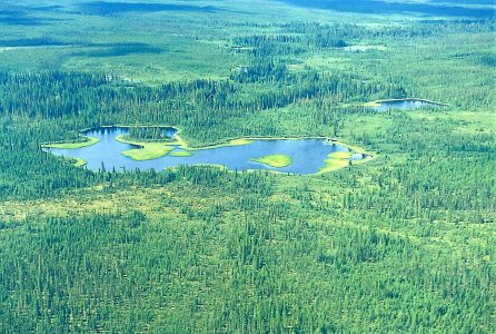 Caribou Mountains Wildland Provincial Park